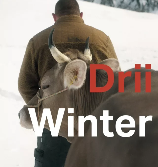 FILM: Drii Winter –  28 september